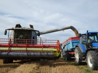 Du côté des coopératives