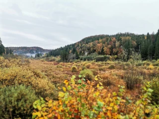 Les chasseurs du Jura remportent le Prix national du Génie Écologique
