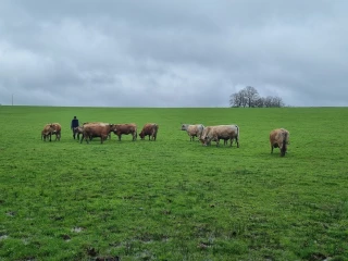 La météo complique l’exploitation de l’herbe