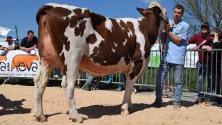 Un beau comice ensoleillé